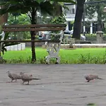 OYO 146 Menteng Residence